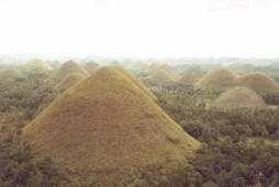 Bohol's famous hills